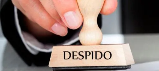 Imagen de Despido